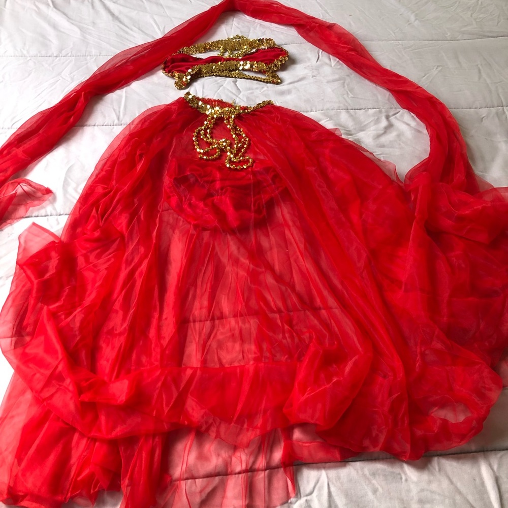 Belly dancer costume
